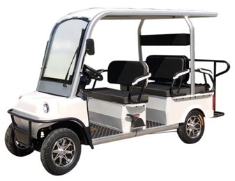 senior-golfcart